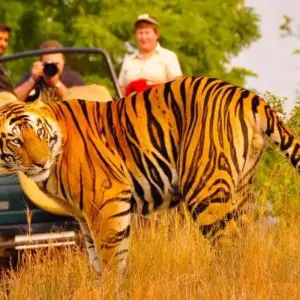 Explore Golden Triangle with Ranthambore Tigers and Taj Mahal Sunset/Sunrise -6 Days for 6 days with Agra Trip and discover unforgettable experiences - Photo 2