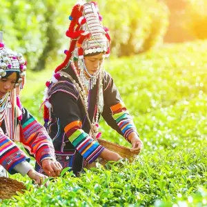 Explore Customized Private Family Tour in Northern Thailand, Daily Depart for 5 days with Agate Travel and discover unforgettable experiences - Photo 11