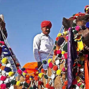 Explore Royal Rajasthan with Taj Mahal Tour for 8 days with Agra Trip and discover unforgettable experiences - Photo 8