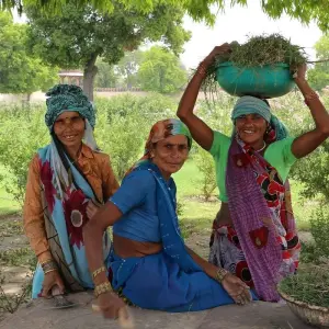 Explore 7 Days Golden Triangle Tour (Taj Mahal Sunset/Sunrise) Delhi Agra Jaipur Tour for 7 days with Agra Trip and discover unforgettable experiences - Photo 10