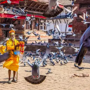 Explore Tailor-Made Private Nepal Tour with Daily Departure & Private Guide for 7 days with Agate Travel and discover unforgettable experiences - Photo 8