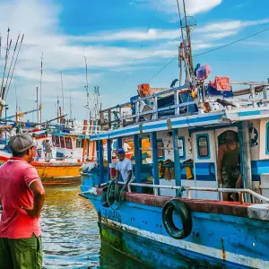 Explore Tailor-Made Best Sri Lanka Tour with Train, Daily Depart & Private Guide for 8 days with Agate Travel and discover unforgettable experiences - Photo 3