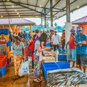 Explore Tailor-Made Best Sri Lanka Tour with Train, Daily Depart & Private Guide for 8 days with Agate Travel and discover unforgettable experiences - Photo 5