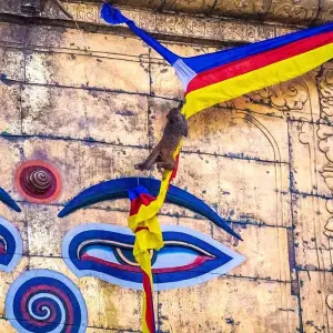Explore Tailor-Made Private Nepal Trip of Kathmandu & Nagarkot, Daily Departure for 5 days with Agate Travel and discover unforgettable experiences - Photo 3