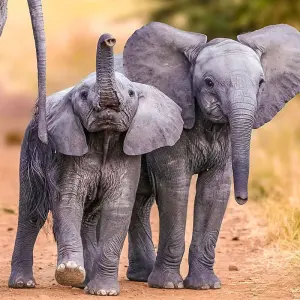 Explore Tailor-Made Best Nepal Tour with Daily Departure & Private Guide for 9 days with Agate Travel and discover unforgettable experiences - Photo 7