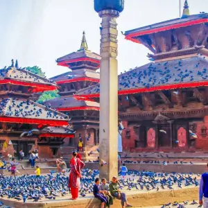 Explore Tailor-Made Best Nepal Tour with Daily Departure & Private Guide for 9 days with Agate Travel and discover unforgettable experiences - Photo 11