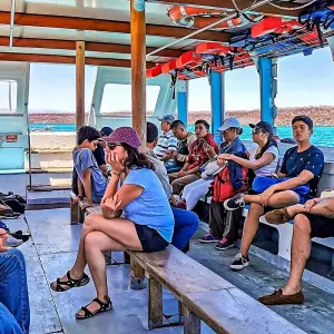 Explore Customized Galapagos Islands Trip with Quito, Daily Departure for 8 days with Agate Travel and discover unforgettable experiences - Photo 5