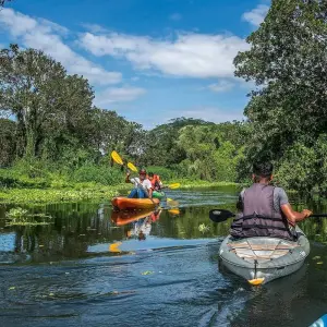 Explore Customized Nicaragua Nature Trip, Daily Depart and Private Guide for 9 days with Agate Travel and discover unforgettable experiences - Photo 7