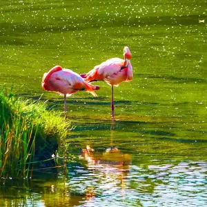 Explore Customized Galapagos Islands Trip with Quito, Daily Departure for 8 days with Agate Travel and discover unforgettable experiences - Photo 6