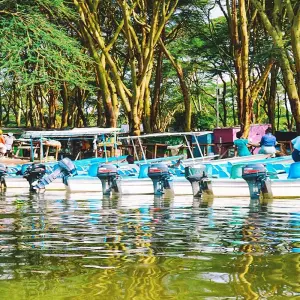 Explore Tailor-Made Private Kenya Tour of Birding & Big Five Safari, Daily Departure for 7 days with Agate Travel and discover unforgettable experiences - Photo 6