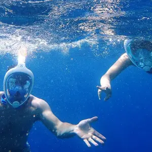 Explore Customized Galapagos Islands Trip with Quito, Daily Departure for 8 days with Agate Travel and discover unforgettable experiences - Photo 7