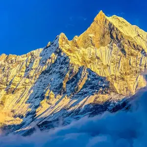 Explore Tailor-Made Private Nepal & Bhutan Tour with Daily Departure for 11 days with Agate Travel and discover unforgettable experiences - Photo 7