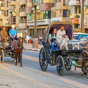 Explore 12 Days Customized Egypt Tour of Beaches & Nile Cruise, Daily Start for 12 days with Agate Travel and discover unforgettable experiences - Photo 3