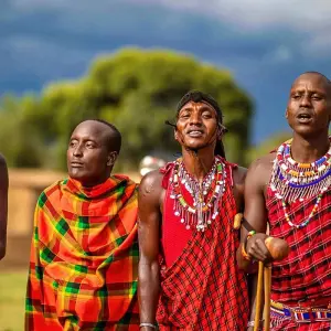 Explore Tailor-Made Private Kenya Tour of Birding & Big Five Safari, Daily Departure for 7 days with Agate Travel and discover unforgettable experiences - Photo 8