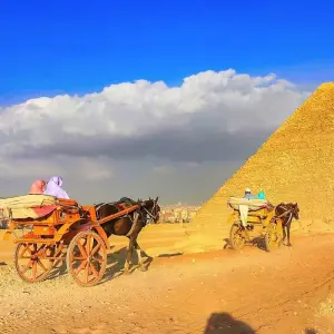Explore 11 Days Customized Egypt Holiday, Private Guide & Driver for 11 days with Agate Travel and discover unforgettable experiences - Photo 8