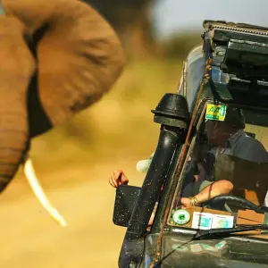 Explore Tailor-Made Private Kenya Tour of Birding & Big Five Safari, Daily Departure for 7 days with Agate Travel and discover unforgettable experiences - Photo 11