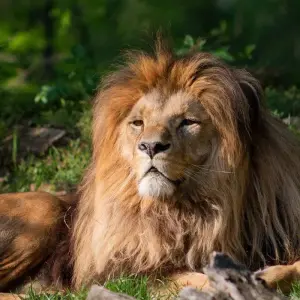 Explore Tailor-Made Private Tanzania & Zanzibar Adventure, Daily Departure for 11 days with Agate Travel and discover unforgettable experiences - Photo 5