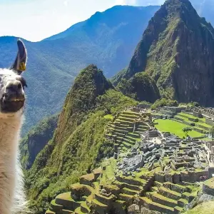 Explore Tailor-Made Peru Couple Tour & Machu Picchu, Daily Departure for 8 days with Agate Travel and discover unforgettable experiences - Photo 11