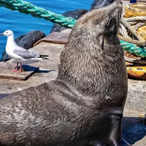 Explore Customized Private Garden Route Adventure of South Africa, Daily Departure for 10 days with Agate Travel and discover unforgettable experiences - Photo 4