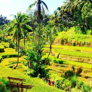 Explore Customized Bali Island Holiday, Private Local Guide & Daily Depart for 8 days with Agate Travel and discover unforgettable experiences - Photo 5