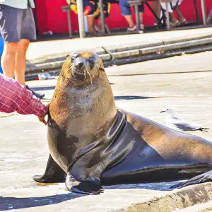 Explore Tailor-Made Private South Africa & Garden Route Trip, Daily Departure for 12 days with Agate Travel and discover unforgettable experiences - Photo 4