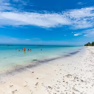 Explore Tailor-Made Private Tanzania & Zanzibar Adventure, Daily Departure for 11 days with Agate Travel and discover unforgettable experiences - Photo 8