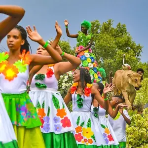Explore Tailor-Made Private South Africa & Garden Route Trip, Daily Departure for 12 days with Agate Travel and discover unforgettable experiences - Photo 6