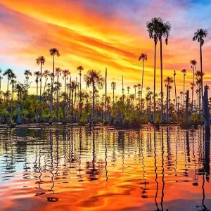 Explore Tailor-Made Amazon Adventure in Peru, Daily Departure (Private Guide & Driver) for 10 days with Agate Travel and discover unforgettable experiences - Photo 11