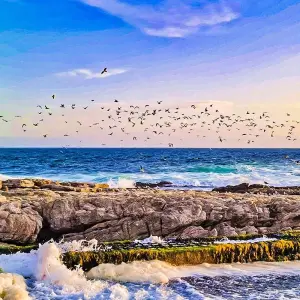 Explore Customized Private Garden Route Adventure of South Africa, Daily Departure for 10 days with Agate Travel and discover unforgettable experiences - Photo 9