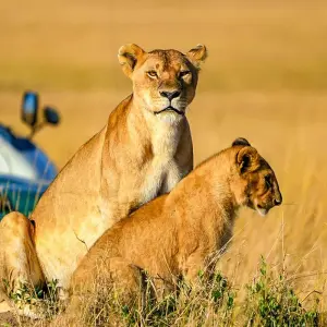 Explore Tailor-Made 2-Week Private South Africa Vacation, Daily Departure for 14 days with Agate Travel and discover unforgettable experiences - Photo 8