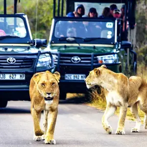 Explore Customized Private Garden Route Adventure of South Africa, Daily Departure for 10 days with Agate Travel and discover unforgettable experiences - Photo 11
