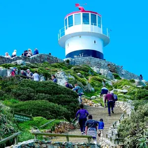 Explore Customized Cape Town Exploration, Daily Departure & Private Trip for 5 days with Agate Travel and discover unforgettable experiences - Photo 9