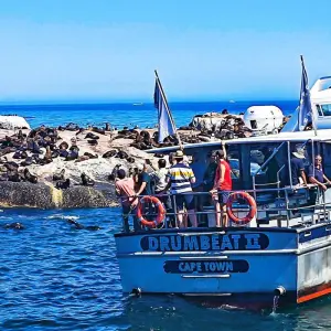 Explore Tailor-Made 2-Week Private South Africa Vacation, Daily Departure for 14 days with Agate Travel and discover unforgettable experiences - Photo 9