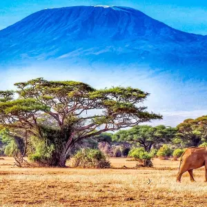 Explore Customized 4-Day Mount Kenya Trekking, Daily Departure & Private Trip for 4 days with Agate Travel and discover unforgettable experiences - Photo 4