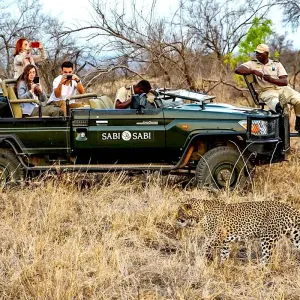 Explore Tailor-Made 2-Week Private South Africa Vacation, Daily Departure for 14 days with Agate Travel and discover unforgettable experiences - Photo 11