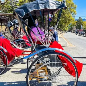 Explore Tailor-Made Japan Family Vacation for Your Kids, Daily Start for 13 days with Agate Travel and discover unforgettable experiences - Photo 9