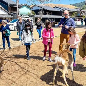 Explore Tailor-Made Japan Family Vacation for Your Kids, Daily Start for 13 days with Agate Travel and discover unforgettable experiences - Photo 11