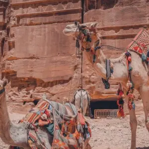 Explore 9 Days Tailor-Made Private Jordan Tours, Daily Start for 9 days with Agate Travel and discover unforgettable experiences - Photo 8