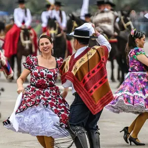 Explore Tailor-Made Chile Trip to Winery & Classic W Trek (Private Guide and Driver) for 11 days with Agate Travel and discover unforgettable experiences - Photo 5