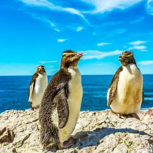 Explore Tailor-Made Chile Trip to Winery & Classic W Trek (Private Guide and Driver) for 11 days with Agate Travel and discover unforgettable experiences - Photo 11