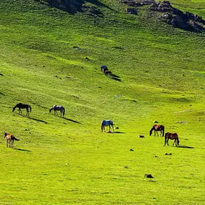 Explore Tailor-Made Private Kyrgyzstan Holiday with Daily Departure for 9 days with Agate Travel and discover unforgettable experiences - Photo 4