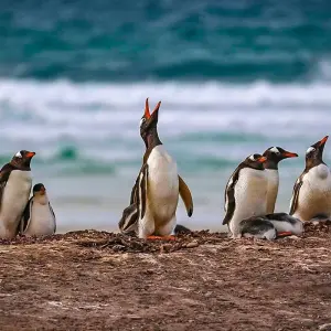 Explore Customized Private Argentina Tour to Patagonia, Daily Departure for 16 days with Agate Travel and discover unforgettable experiences - Photo 8