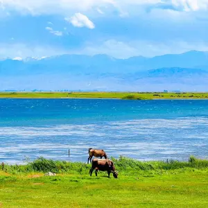 Explore Tailor-Made Best Kyrgyzstan Tour, Private Guide & Daily Depart for 10 days with Agate Travel and discover unforgettable experiences - Photo 6