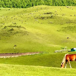 Explore Customized Kyrgyzstan Adventure with Private Guide & Daily Departure for 11 days with Agate Travel and discover unforgettable experiences - Photo 9