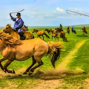 Explore Customized Mongolia Gobi Desert Safari with Private Guide & Driver for 8 days with Agate Travel and discover unforgettable experiences - Photo 7