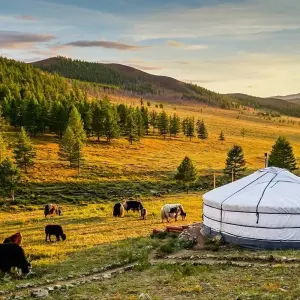 Explore Customized Mongolia Gobi Desert Safari with Private Guide & Driver for 8 days with Agate Travel and discover unforgettable experiences - Photo 10