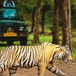 Explore Adventurous Rajasthan Tour With Wildlife {Taj Mahal Sunset and Sunrise-10 Days} for 10 days with Agra Taj Visit and discover unforgettable experiences - Photo 9