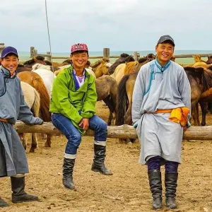 Explore Customized Mongolia Gobi Desert Safari with Private Guide & Driver for 8 days with Agate Travel and discover unforgettable experiences - Photo 11