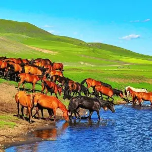 Explore Tailor-Made Private Mongolia Tour of Nomadic Gobi & Nature for 8 days with Agate Travel and discover unforgettable experiences - Photo 5
