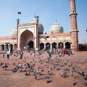 Explore 7 Days Golden Triangle Tour with Jodhpur & Udaipur for 7 days with Agra Taj Visit and discover unforgettable experiences - Photo 3